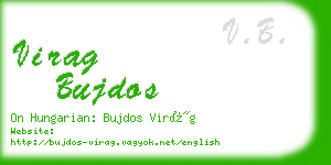 virag bujdos business card